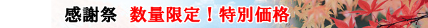 �ӂ����̊��@�S���ꗥ����350�~�I