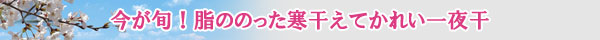 今が旬!脂ののった寒干えてかれい一夜干