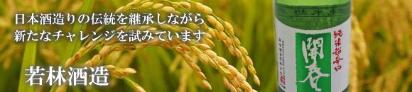 �y��ю𑢁z�n�Ɩ���2�N�A����Ò��ŗB��̑�������ł��B�������j���v�킹��Ȃ܂��ł��B�𑢂�ɂ͌��I�����������g���V���i�̊J���ɂ��M�S�ł��B
