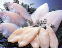 ふぐ一夜干220g 白いか一夜干2枚
水かれい一夜干3枚
賞味期限:90日
品番:8137