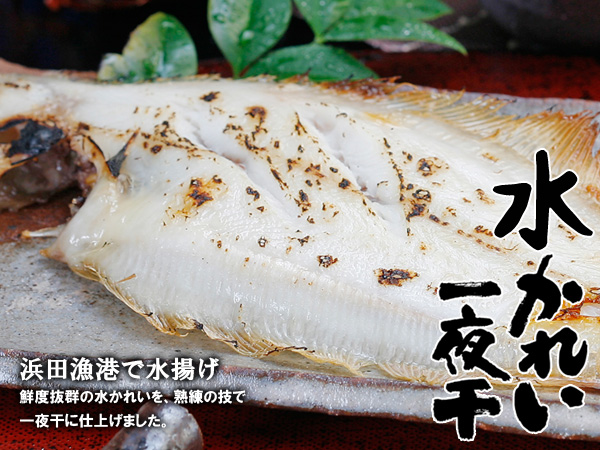 浜田漁港で水揚げされた鮮度抜群の水かれいを手早く処理し一夜干にしました。柔らかな身に包まれたあっさりとした上品な味わいはご飯との相性抜群です。豊かな磯の香りは酒の魚としても大変喜ばれています。