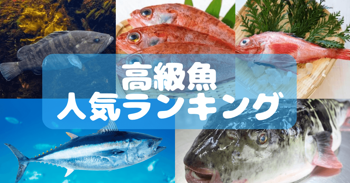 一度は食べてみたい高級魚5種をランキングでご紹介 | 和田珍味オンラインショップ
