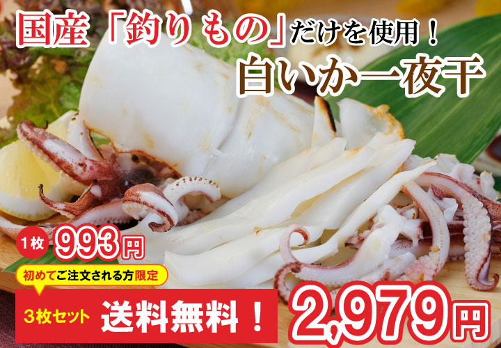 初回限定・送料無料】国産「釣りもの」だけを使用！白いか一夜干3枚お