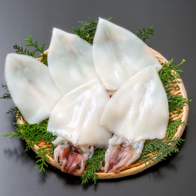 白いか一夜干5枚