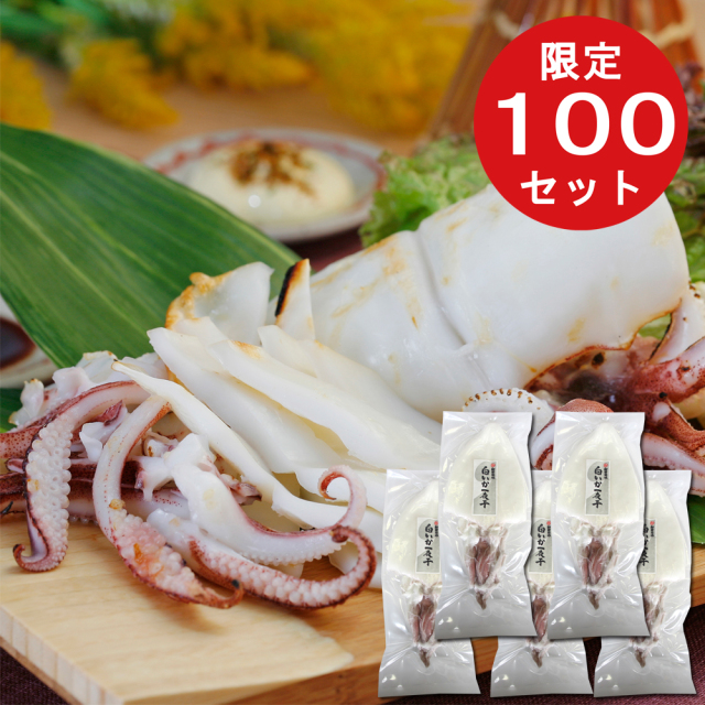 白いか一夜干(中)5袋