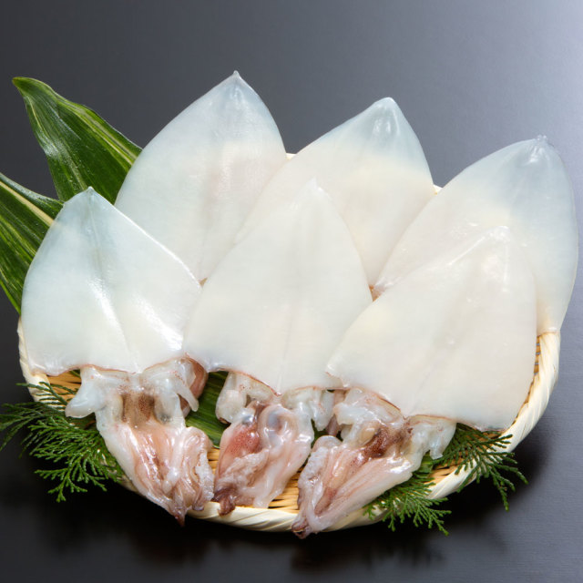 白いか一夜干　6枚