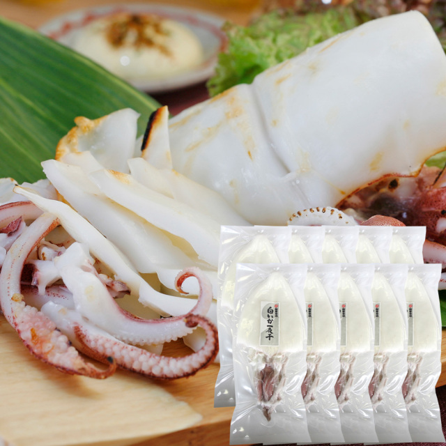 白いか一夜干　小10枚セット