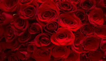 長寿・還暦祝い